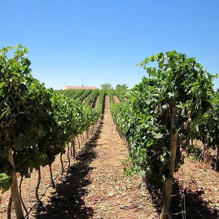 Διαμέρισμα Golfinho *