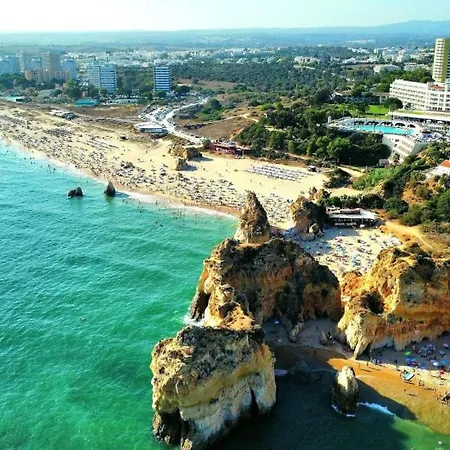 Golfinho * Portimão